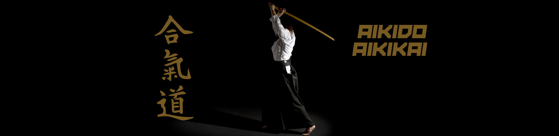 AIKIDO AIKIKAI